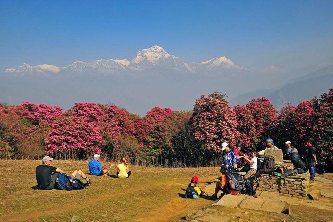 Ghorepani Poon Hill Trek - The Route Breakdown & What to Expect