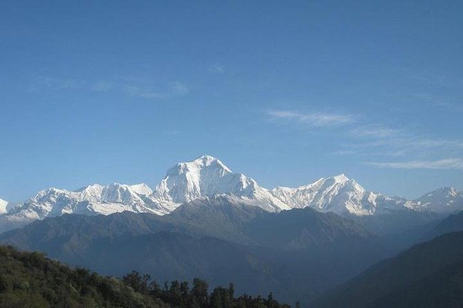 Ghorepani-Poonhill Trek 5 days - Best Short Trek in Annapurna Massif - The Itinerary: What to Expect Day-by-Day