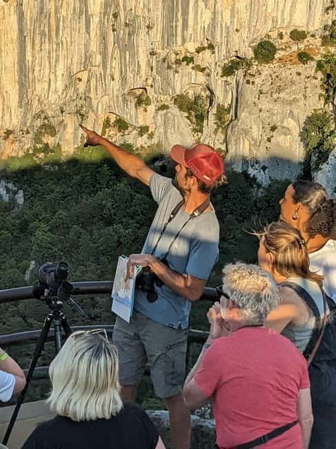 Gorges du Verdon: Watching vultures - An in-depth look at the vultures of the Verdon Gorge