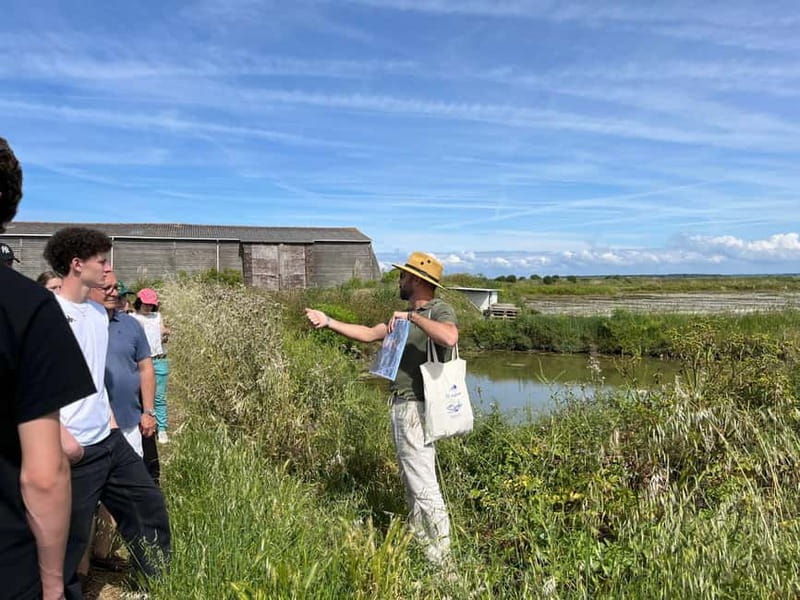 Guérande Salt Marshes tour - Exploring the Guérande Salt Marshes Tour: What to Expect