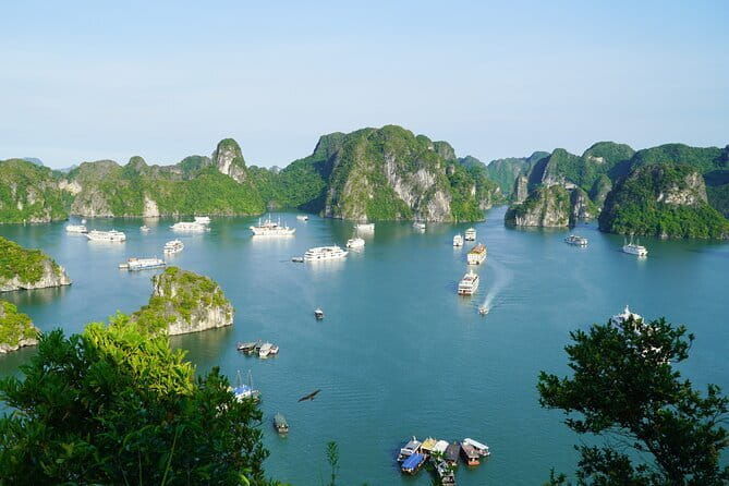 Ha Long Bay 1 Day Joined Luxury Tour - Discovering the Highlights of the Tour