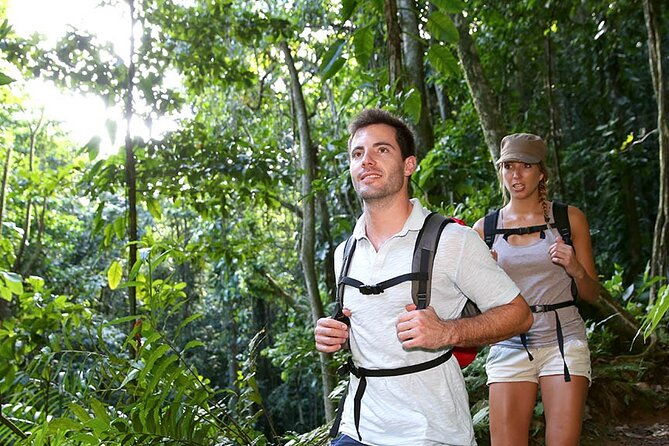 Half Day - Beyond Angkor Hiking Experience - Key Points