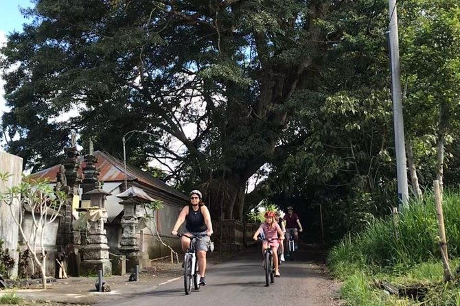 Half Day Cycling Tour ( Manual Bike ) - A Deep Dive Into the Cycling Experience