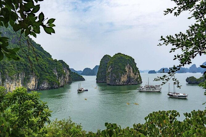 Halong Bay 2 Days-1 Night With The Capella Cruises 6 Star - Day 2: Halong Bay’s Highlights