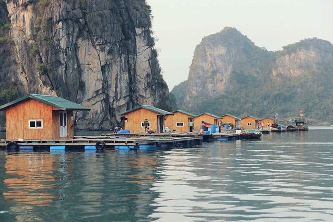 Halong Bay Full-Day Adventure Cruise from Hanoi - The Itinerary in Detail: What You Can Expect