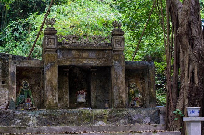 Hoa Lu - Mua Cave - Tam Coc/Trang An - DELUXE Small Group Tour - Navigating the Boat Rides and Scenic Spots