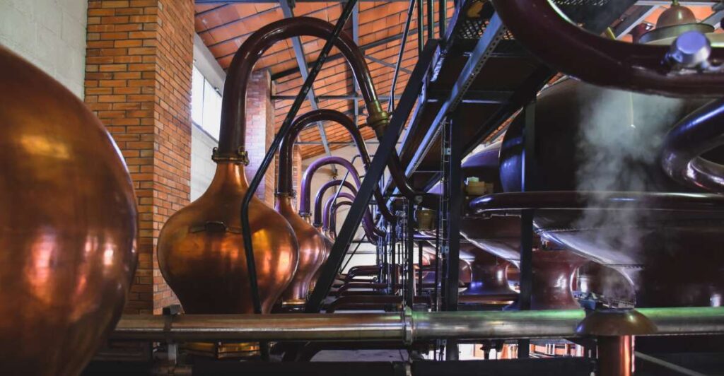 Jarnac: Braastad cognac discovery tour