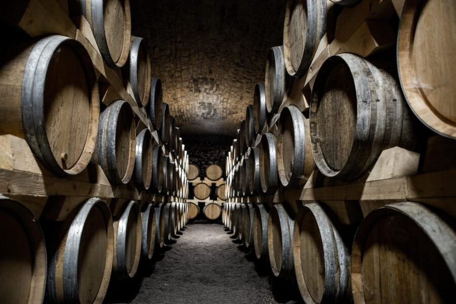 La Roche Vineuse: Visit to the Vine and Wine Museum - Introduction