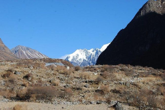 Langtang Valley Trek - 8 Days - An Overview of the Langtang Valley Trek