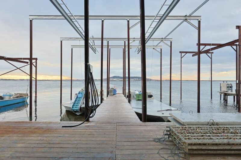 Loupian: Tour guide of our oyster farm and tasting - An In-Depth Look at the Loupian Oyster Farm Tour
