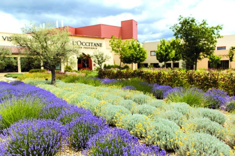 Manosque: L'Occitane en Provence Guided Factory Tour - An In-Depth Look at the LOccitane Factory Tour in Manosque