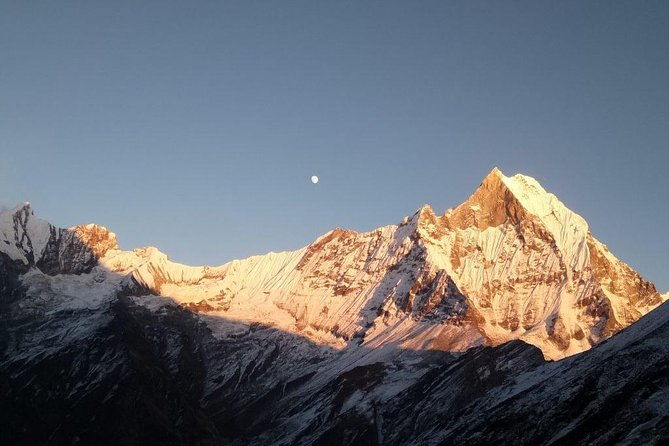 Mardi Himal Trek - The Allure of the Mardi Himal Trek