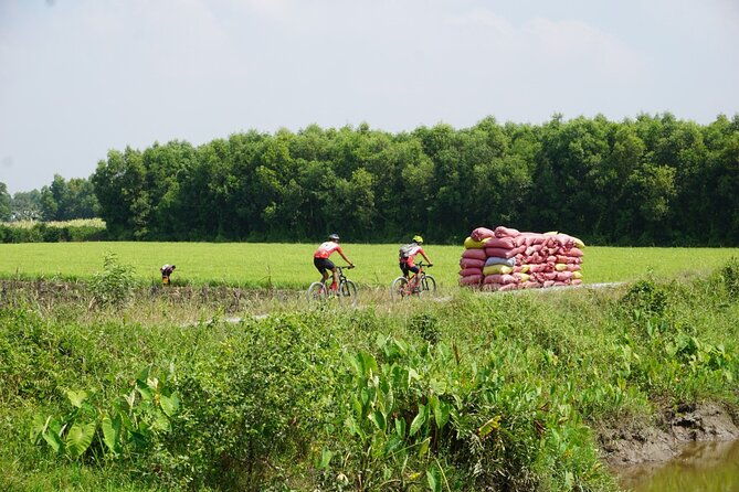 Mekong Essential Cycling - Price and Value Analysis