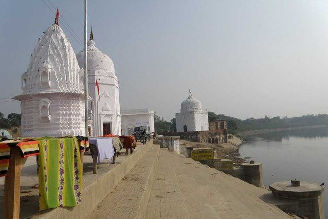 Mitawali, Padawali & Bateshwar Temple (Day excursion from Gwalior) - Practical Details: What to Expect