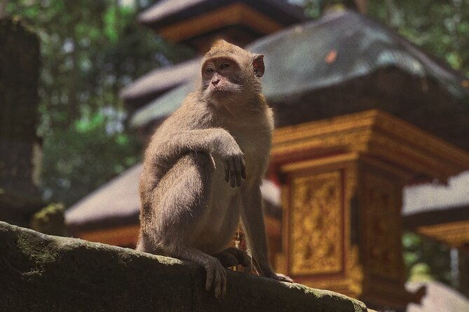 Munduk: Tamblingan jungle trek, waterfall, Ulun Danu temple - Discovering the Beauty of Munduk: What to Expect