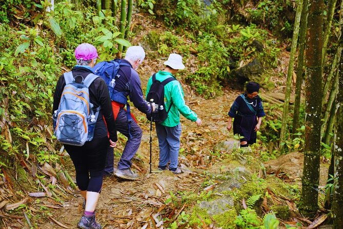 Overnight homestay in Sapa 2 days 1 night - A Detailed Look at the Sapa Homestay Tour