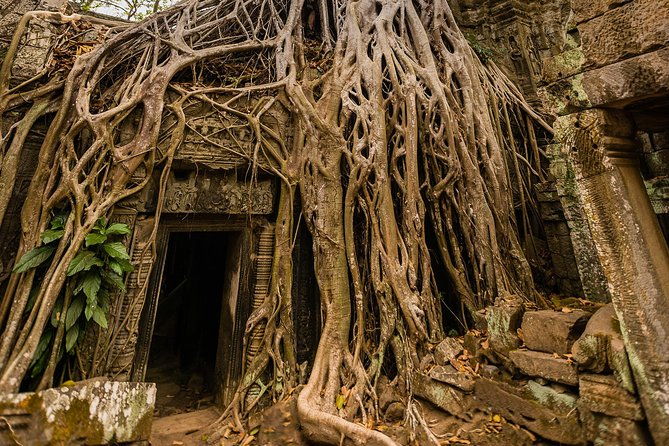 Personalised Angkor Wat Day Tour by an Air-conditioned Car - An In-Depth Look at the Experience
