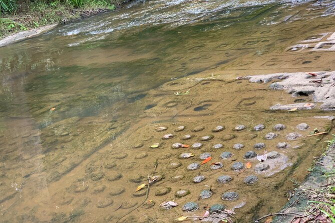 Phnom Kulen National Park Tour - Exploring Phnom Kulen: What Makes It Special