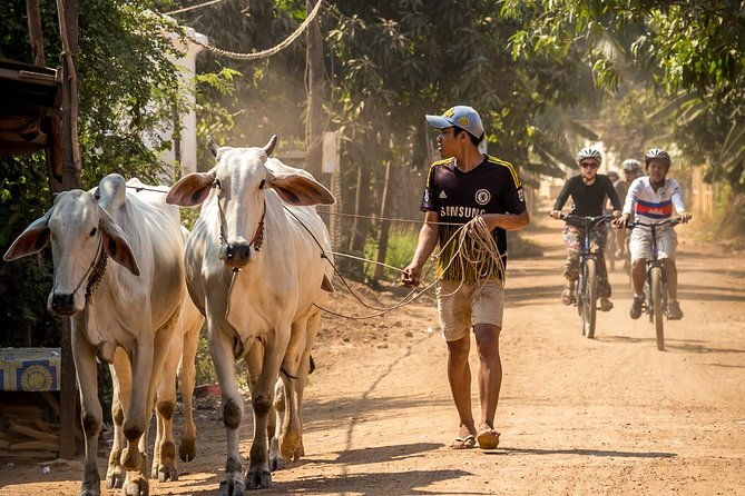 Phnom Penh: Cycling Adventure on Islands of the Mekong - A Detailed Look at the Tour Experience