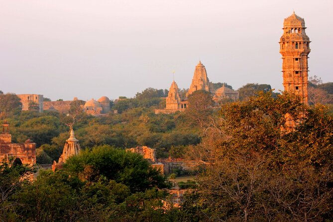 Private 7 Day Tour of Udaipur Chittorgarh Pushkar and Jaipur - Final Thoughts: Who Is This Tour Best For?