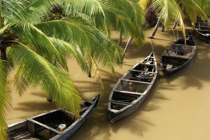 Private Full Day Tour: Authentic Mekong Delta Life in Ben Tre - Price & Value Analysis