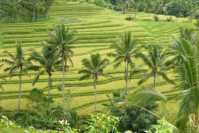 Private Full-Day Tour of West Bali with Hotel Pick Up - Key Points