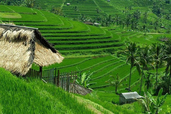 Private Jatiluwih Rice Terraces Heritage Site and Culture Tour - Who Is This Tour Best For?