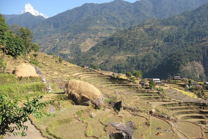 Private Multi Day Nepal Poon Hill Trekking Tour - Key Points