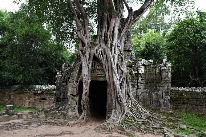 Private Taxi Siem Reap to Phnom Penh, Reliable Friendly Drivers - Why Travelers Recommend This Tour