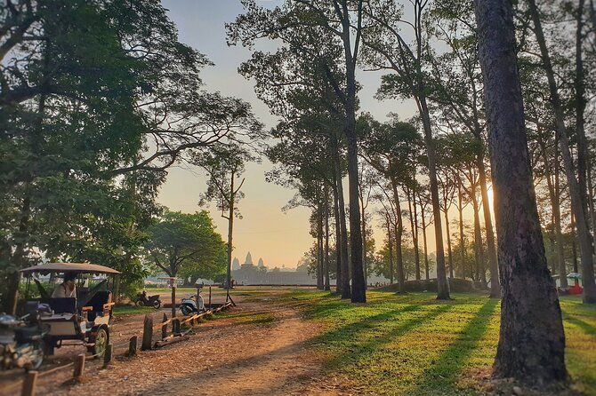 Private Temples Guided Tour (Angkor Wat, Ta Prom & Angkor Thom) - What Makes This Tour Stand Out?