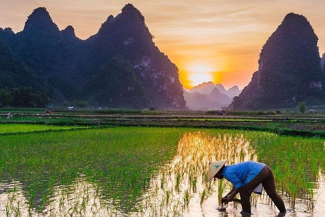 Remarkable Vietnam 14 Days - Hanoi, Sapa, Halong Bay, Ho Chi Minh - Exploring the Full 14-Day Adventure