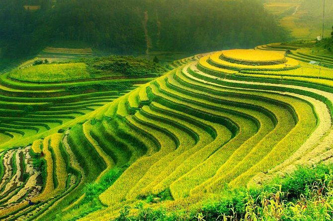 Sa Pa 2-Day Moderate Trek and Homestay Limousine Tour from Hanoi - In-Depth Look at the Sa Pa 2-Day Tour