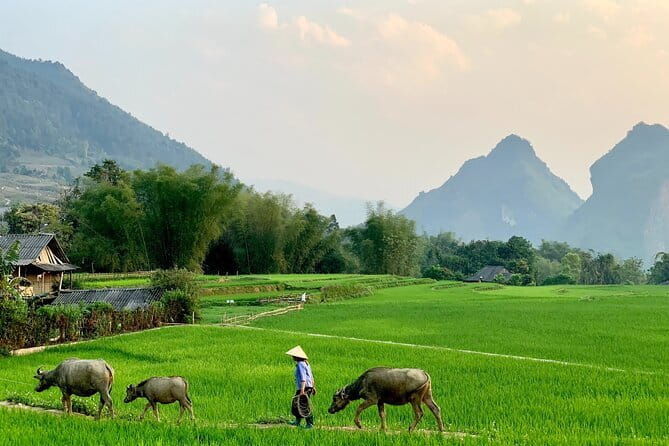 Sa Pa Trekking 2 Days 3 Nights Homestay by Night Train - Journey Breakdown: What to Expect Day by Day