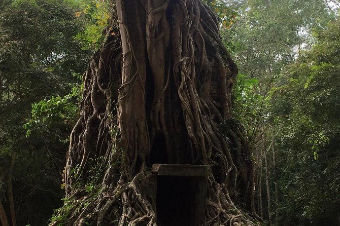 Sambor Prei Kuk Off Beaten Track - Key Points