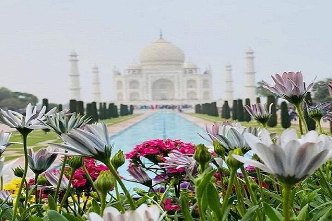 Sameday Taj Mahal Tour From Delhi With Lunch at 5 Star Hotel - The Full Experience: What to Expect