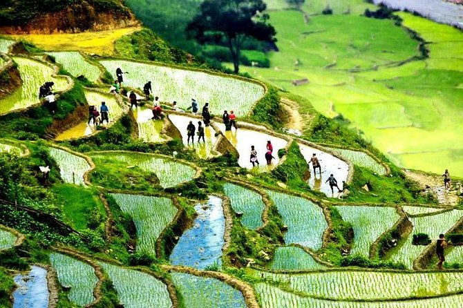 Sapa 2D1N All Included (Bus & Homestay) - What We Appreciate About This Tour
