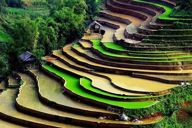 Sapa Hard Trekking by Bus for 2 days - What We Love About This Tour