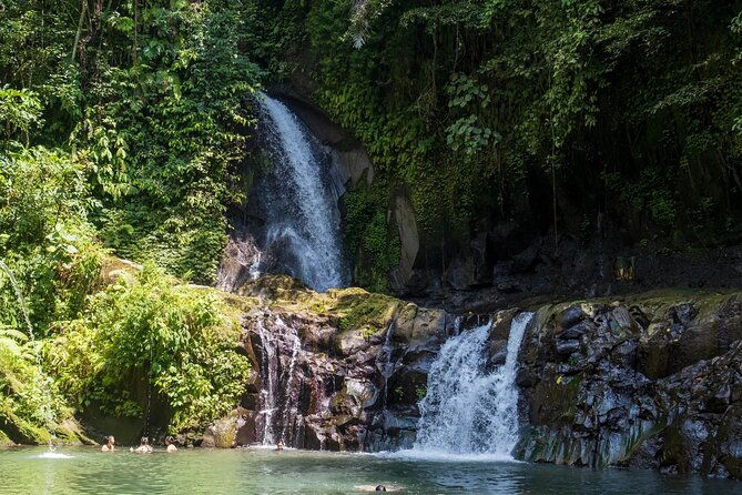 Swimming At Taman Sari Waterfall & Visit The Best Site Of Ubud - An In-Depth Look at the Ubud Tour Experience