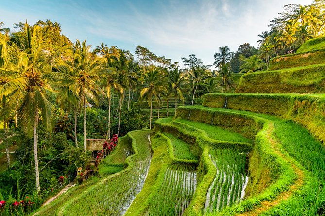 Tanah Lot Tour with Ubud Monkey Forest, Rice Terraces, and Waterfalls - Key Points