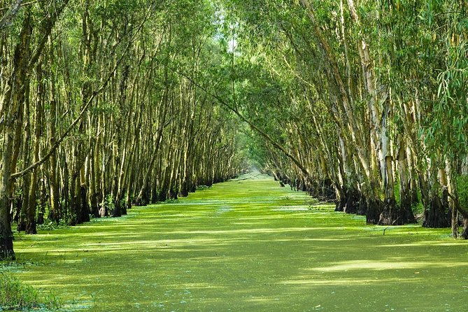 Three-Day Mekong Delta Private Tour - Including Tra Su Bird Sanctuary - In-Depth Breakdown of the Itinerary