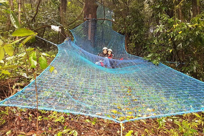 Tree Top Adventure - What Can You Expect During the Tour?