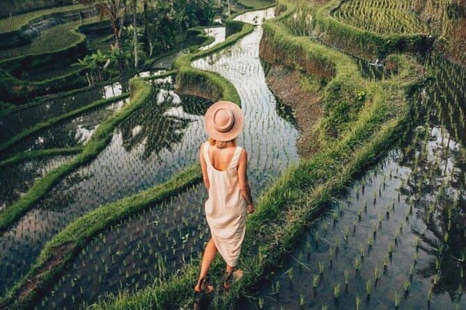 Ubud Highlights Full-Day Tour - Small Group - A Closer Look at the Day