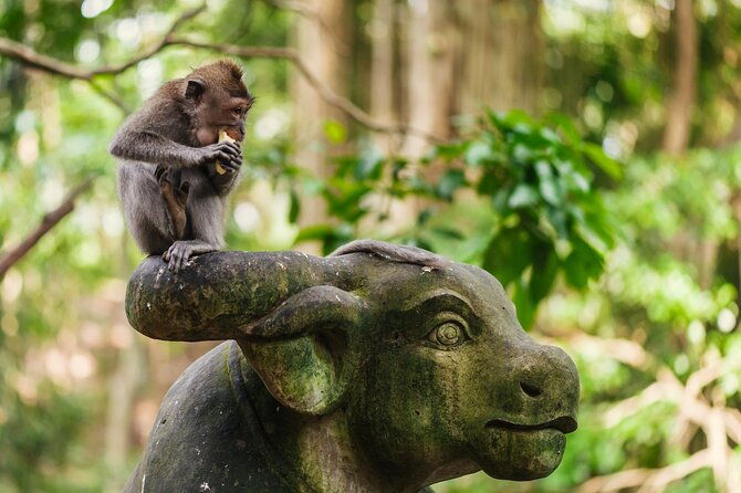 Ubud: Monkey Forest, Waterfall and Nature Exploration Tour - A Complete Breakdown of the Tour Experience