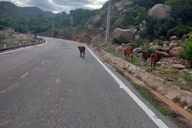 Vietnam Cycling Tour: Ho Chi Minh city to Hoi An - Who Will Love This Tour?