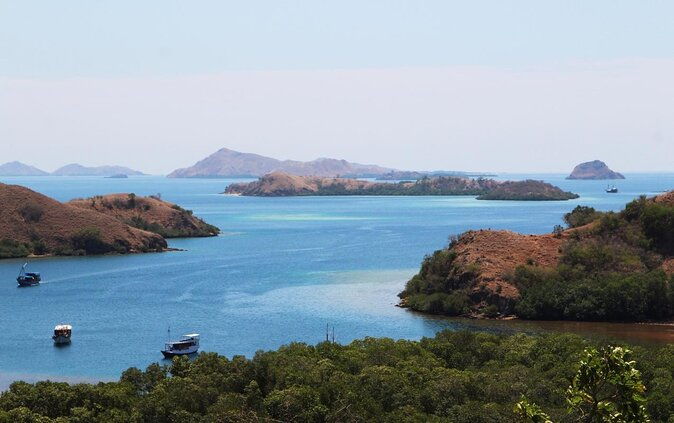 2-Day Komodo National Park and Rinca Island Wildlife Adventure from Bali - Authentic 2-Day Komodo National Park and Rinca Island Wildlife Adventure from Bali: A Detailed Perspective