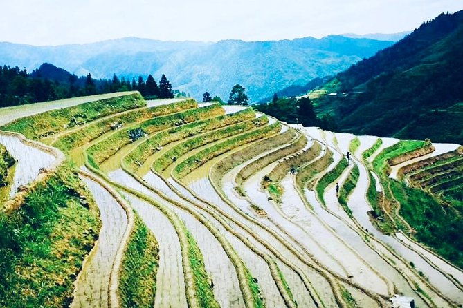 2-Day Private Guilin Highlight Tour including Li River and Longji Rice Terraces - An In-Depth Look at the Itinerary