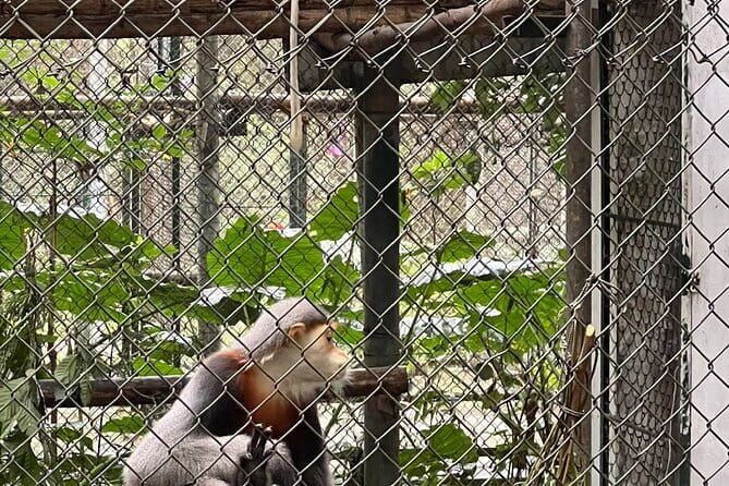 2 Day Private Tour in Tam CocCuc Phuong-Van Long Nature Reserve - 2 Day Private Tour in Tam Coc, Cuc Phuong, and Van Long Nature Reserve