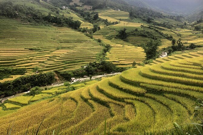 2 Day Trekking Experience: Explore with knowledgeable local guide - Who Is This Tour Best For?