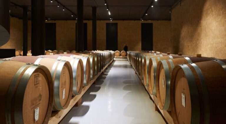 2-hours Amarone Wine Tour with Sommelier Wine Tastings - The Value of the Experience