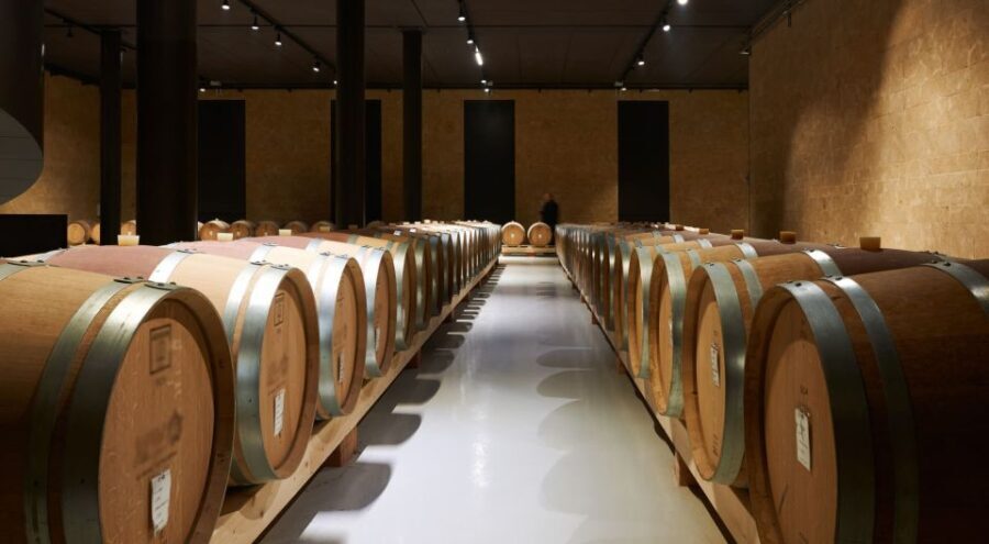 2-hours Amarone Wine Tour with Sommelier Wine Tastings - The Value of the Experience